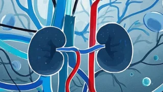 慢性肾脏病、高尿酸与高血压：健康不应掉以轻心
