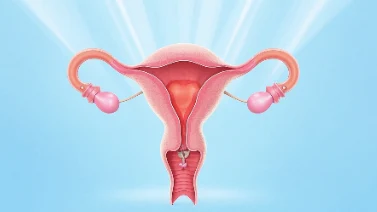 卵巢癌早发现:女性必读预防指南