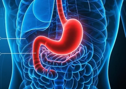 胃胀气烦恼多？你需要知道这些防治妙招！