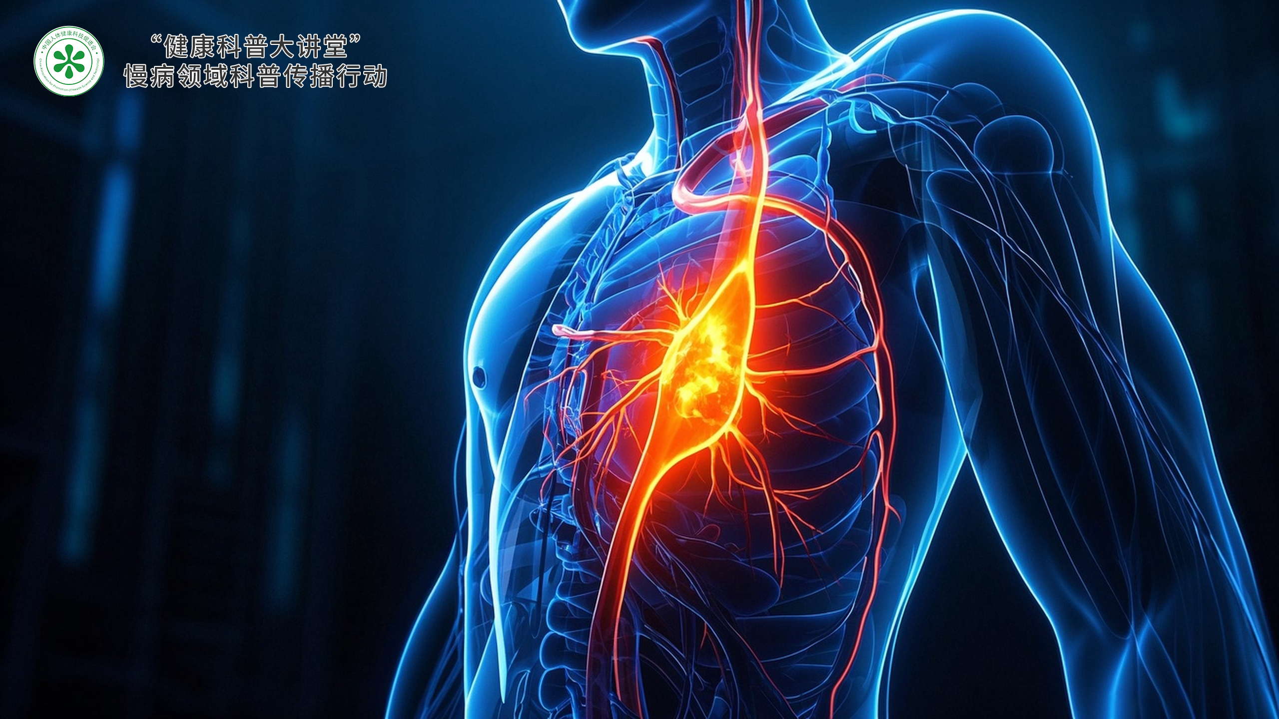 科普，代谢性<span style="color: #da4707">慢</span><span style="color: #da4707">病</span>的健康<span style="color: #da4707">管理</span>指南