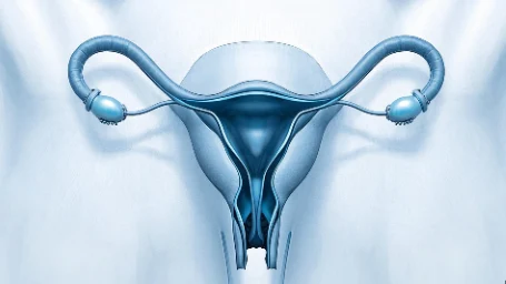 子宫腺肌病：隐匿却不容忽视的妇科疾病