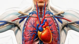 气胸急救指南：发现这些症状请及时应对！