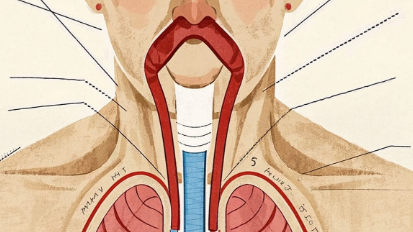 科普，<span style="color: #da4707">老年</span>人急性<span style="color: #da4707">上呼吸道</span><span style="color: #da4707">感染</span>预防指南：把握症状与治疗方法