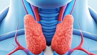 全面了解桥本<span style="color: #da4707">甲状腺炎</span>：从诊断到治疗的全景指南
