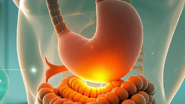 急性胃肠炎与电解质紊乱的全面解析:从病因到治疗