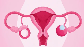 宫颈癌信号别忽视,科学应对安心生活