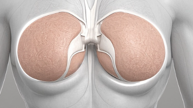 乳腺癌早期诊断：你能做些什么来提高<span style="color: #da4707">治愈率</span>？
