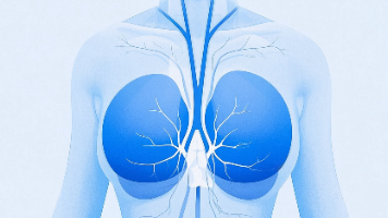 科普，平衡健康之路：乳腺癌术后化疗与肝功能的综合管理