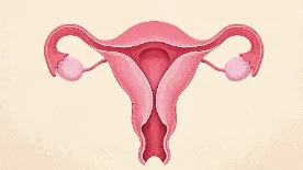 全面解析卵巢癌：从诊断到治疗的科学管理