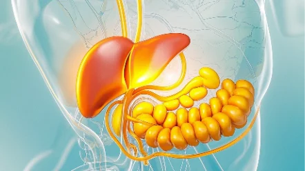 了解结石性胆囊炎：病因、影响及防治