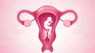 宫颈癌的全面指南：从分类到治疗及生活管理