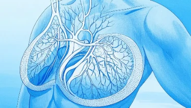 乳腺癌iv期：如何科学应对与积极预防