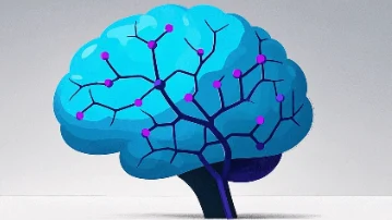 短暂性脑缺血发作与大脑中动脉狭窄的全面解析