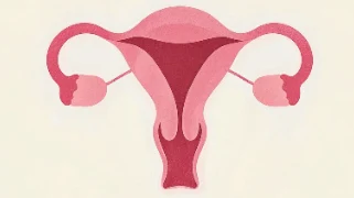 认识子宫内膜癌:女性必知的预防与检查指南