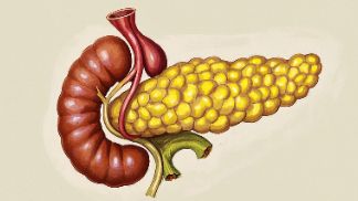 科普，揭秘胰腺癌—共舞生命，与病魔<span style="color: #da4707">斗争</span>到底！
