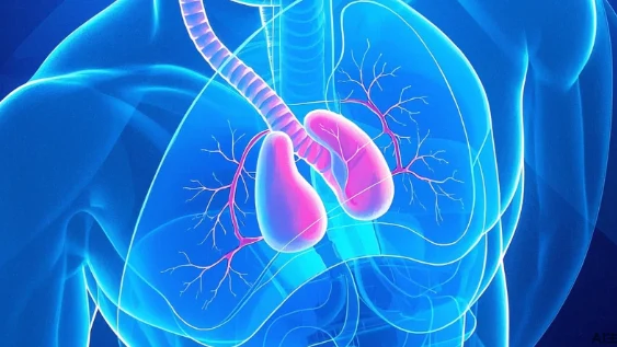 咳嗽不止?急性支气管炎的识别与应对指南