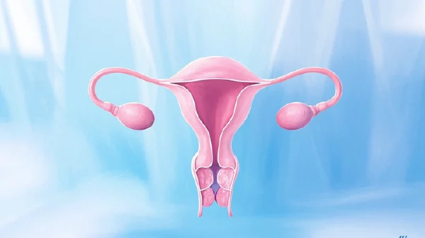 全面了解多囊卵巢综合征：症状、原因与治疗指南
