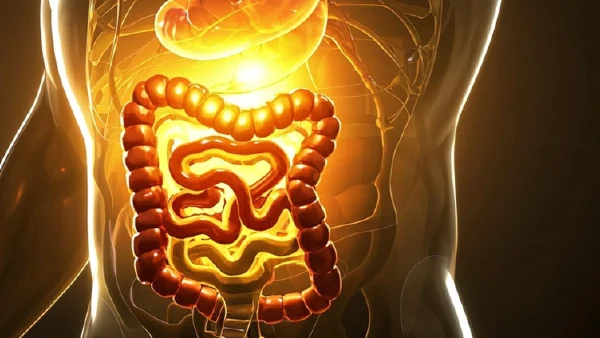 全面解析肠梗阻与其并发症的管理策略