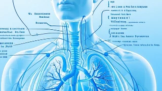 荆棘丛中的呼吸困扰:过敏性鼻炎与哮喘的深度关系