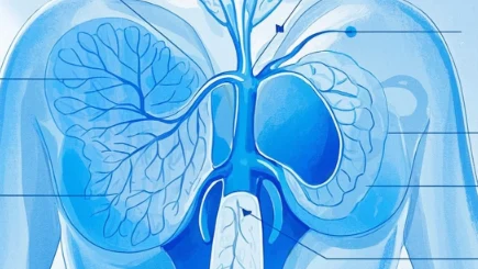乳腺癌:了解、治疗和预防的全面指南