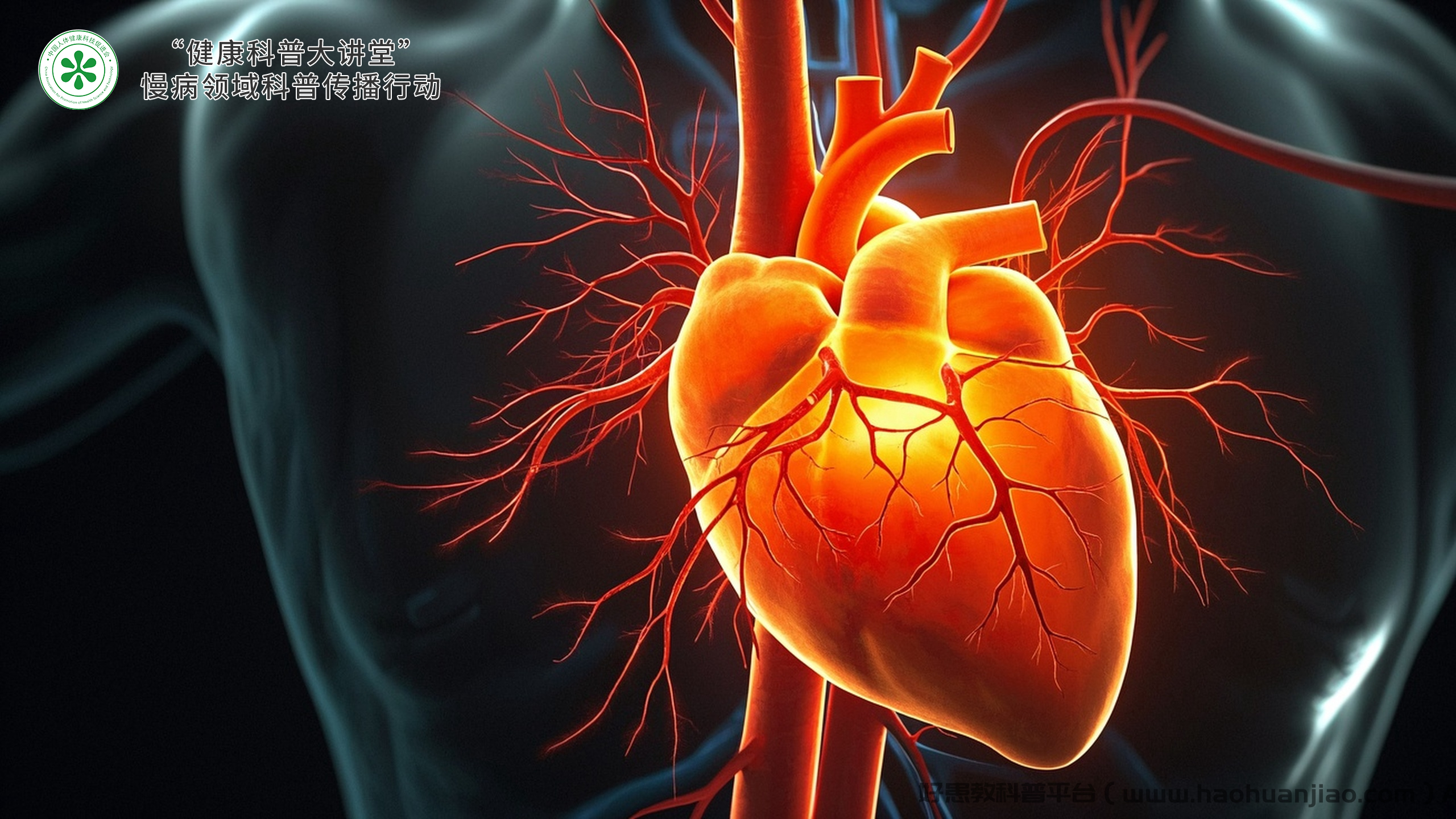 科普，<span style="color: #da4707">慢性</span><span style="color: #da4707">冠状动脉</span><span style="color: #da4707">供</span><span style="color: #da4707">血</span><span style="color: #da4707">不足</span>的全面解析