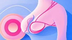 乳腺癌的预防与治疗:您需要知道的一切