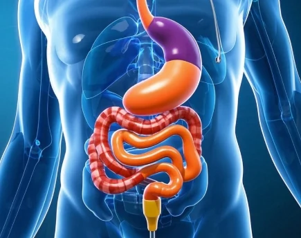 全面了解肠梗阻：类型、诊断、分期及治疗