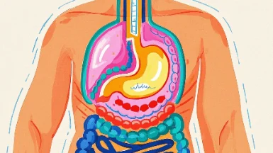 慢性胃窦炎的全面解析与科学管理