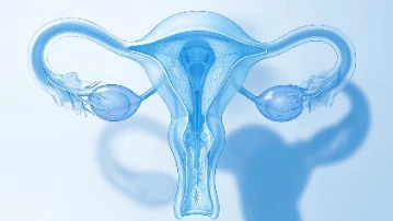 卵巢癌的科学认知与综合管理：从诊断到治疗及日常生活调整