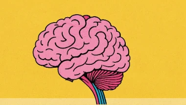 突破脑血管疾病的界限：微创介入治疗与风险前瞻