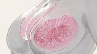 科普,乳腺癌預防與識別:女性健康新指南封面圖