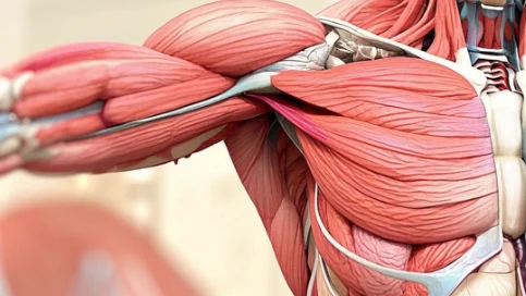 骨科疾病新威胁！软组织肉瘤的真相与防治指南