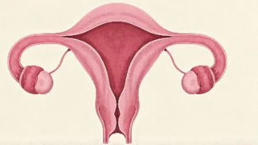 宫颈癌信号识别与科学预防方法
