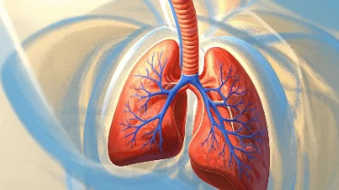 肺癌每分钟2人确诊?科学应对与预防指南