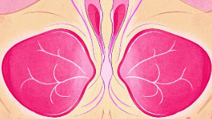 科普，乳腺癌全面解析：从分型到治疗的科学管理指南封面图