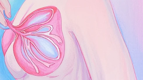 惊险!深入解析乳腺癌的真相与预防方法