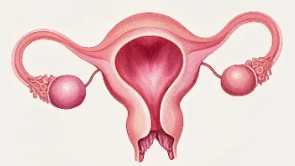 宫颈癌疾病全解析：分类、诊断、分期及治疗指南