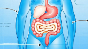 科普，慢性<span style="color: #da4707">腹泻</span>：揭示肠道健康的关键要素