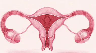 女性健康的隐秘守护者:从卵巢癌说健康管理