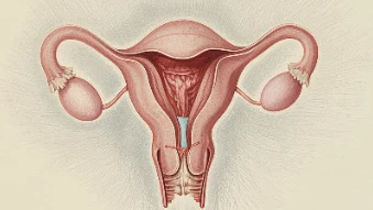 了解宫颈癌:女性健康的实用指南