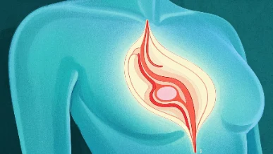 从乳腺癌到健康生活——你需要了解的一切!