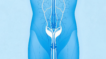 科普，警惕身体信号：认识并预防<span style="color: #da4707">膀胱癌</span>