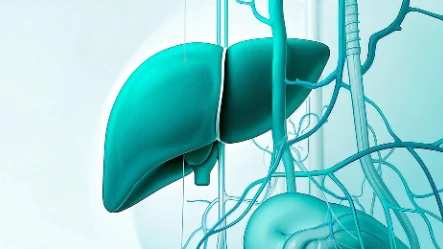 微笑背后潜藏危机——多囊肝需重视!