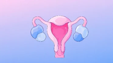 子宫肌瘤的全面解析与科学管理