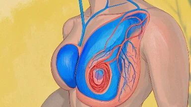 乳腺癌的分期与治疗:科学管理助力健康之路