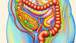 关注肠道健康,早防直肠癌:你必须知道的一切