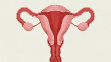 子宫内膜癌肺转移:解读、治疗与预防须知