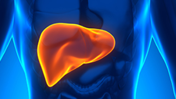 <span style="color: #da4707">乙肝</span>后肝硬化：全面了解与科学管理