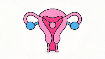 破解卵巢的奥秘：关注卵巢癌，守护女性健康！封面图