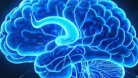 全面解析颅底骨折及其并发症：诊断、治疗与康复